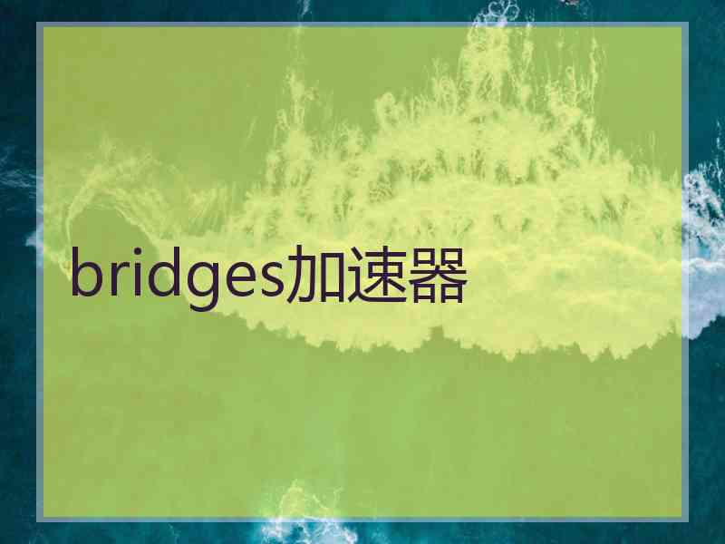 bridges加速器