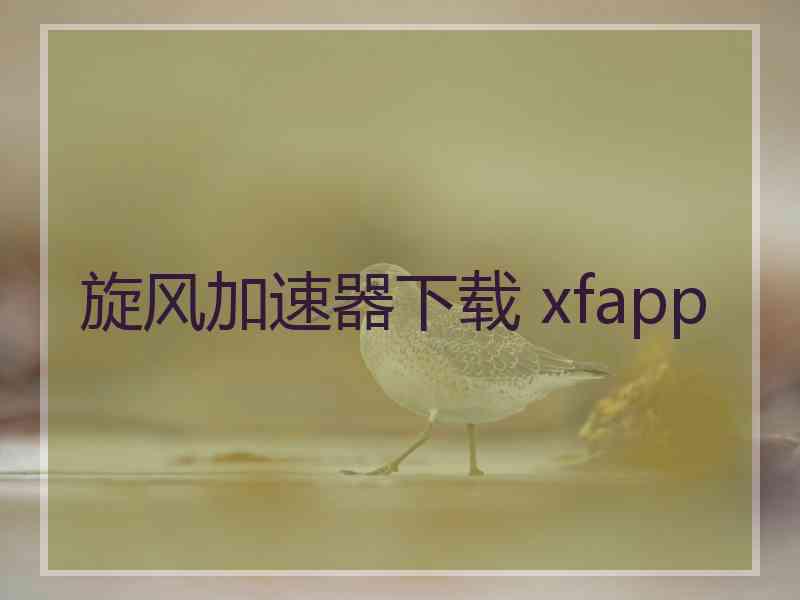 旋风加速器下载 xfapp