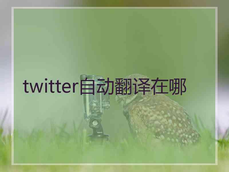 twitter自动翻译在哪