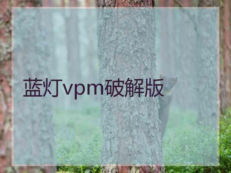 蓝灯vpm破解版