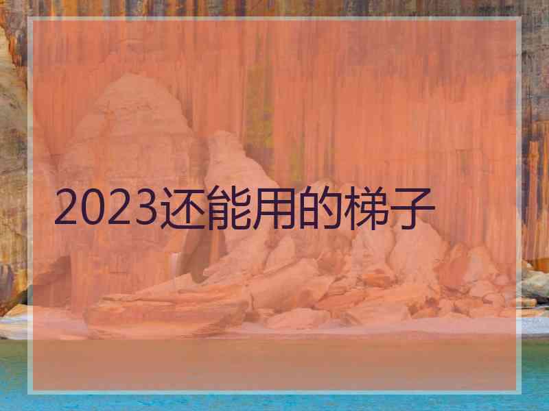 2023还能用的梯子