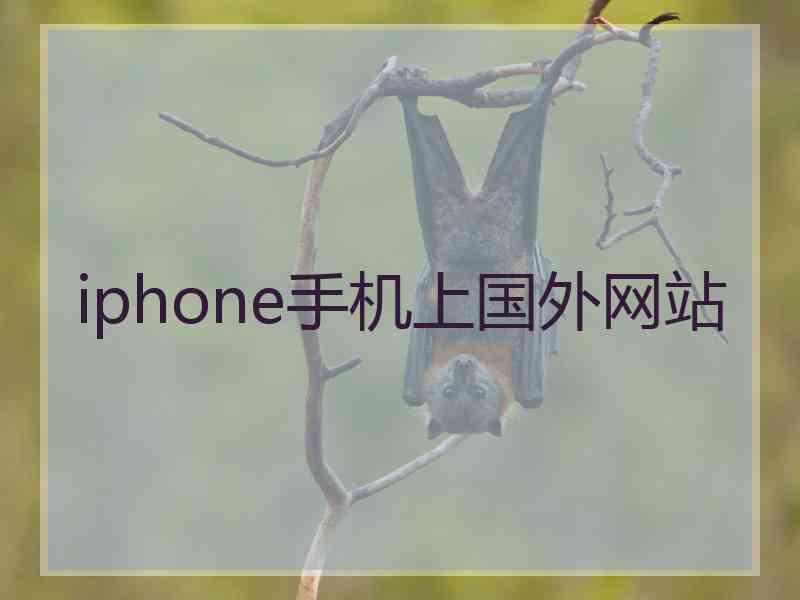 iphone手机上国外网站