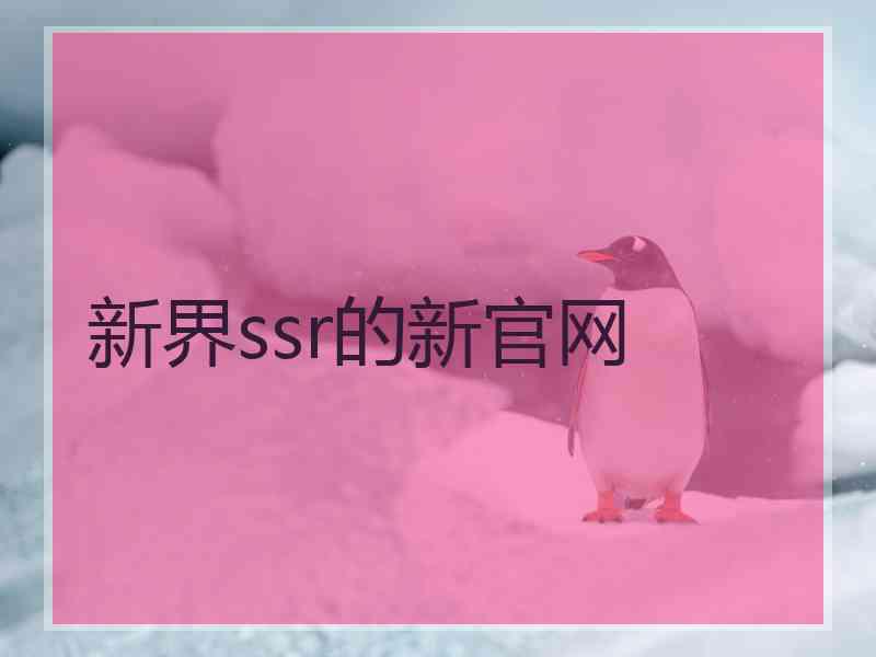 新界ssr的新官网