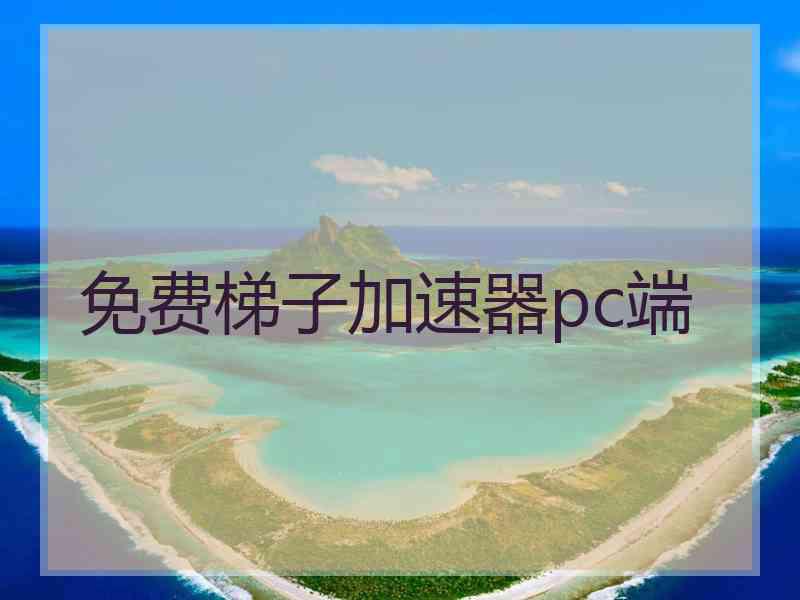 免费梯子加速器pc端