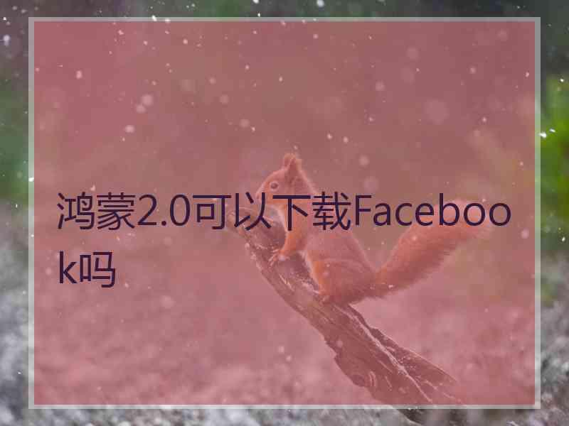 鸿蒙2.0可以下载Facebook吗