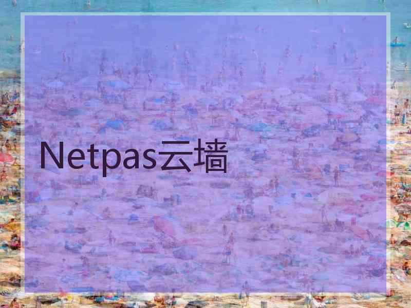 Netpas云墙