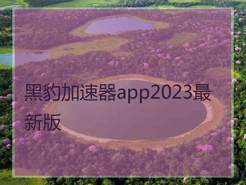 黑豹加速器app2023最新版