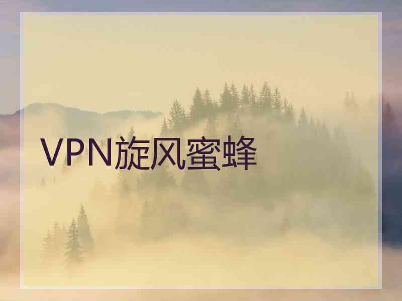 VPN旋风蜜蜂