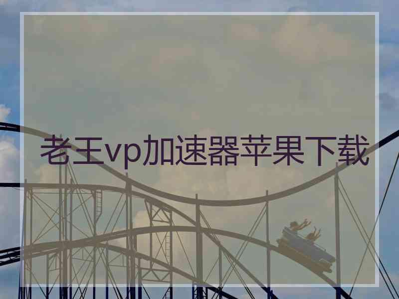 老王vp加速器苹果下载