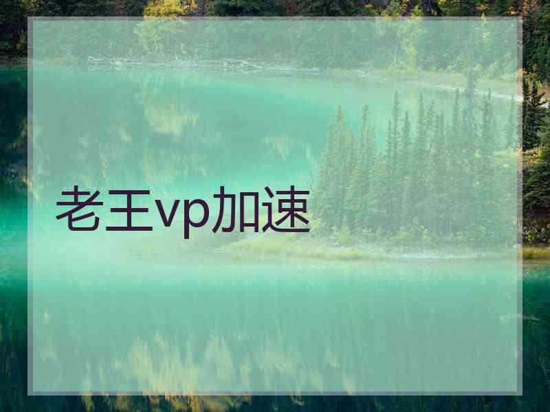 老王vp加速