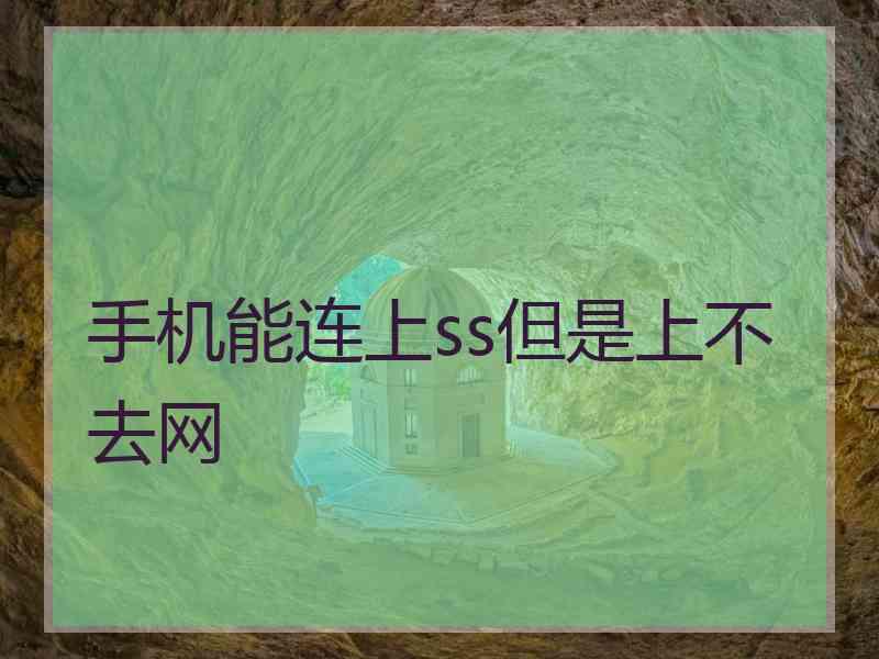 手机能连上ss但是上不去网