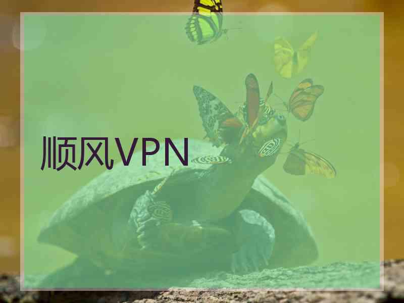 顺风VPN