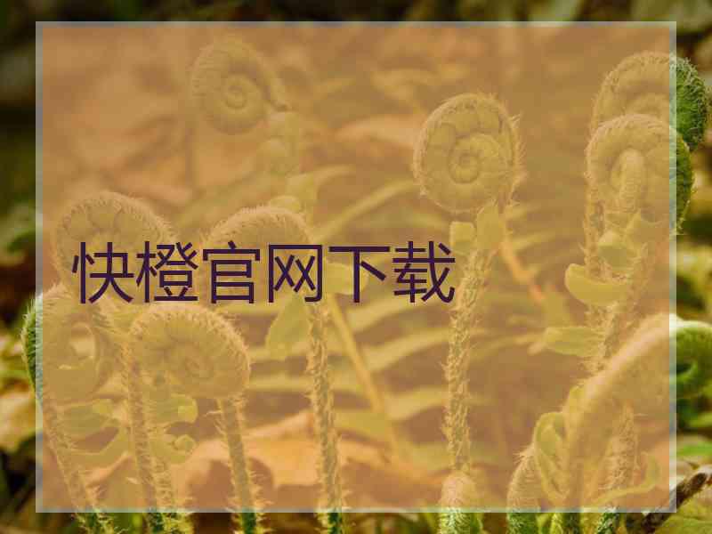 快橙官网下载