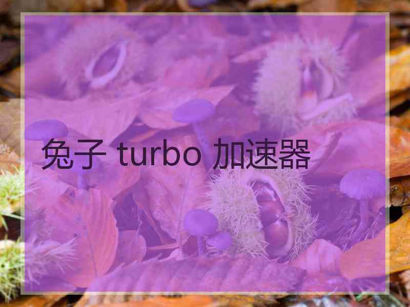 兔子 turbo 加速器