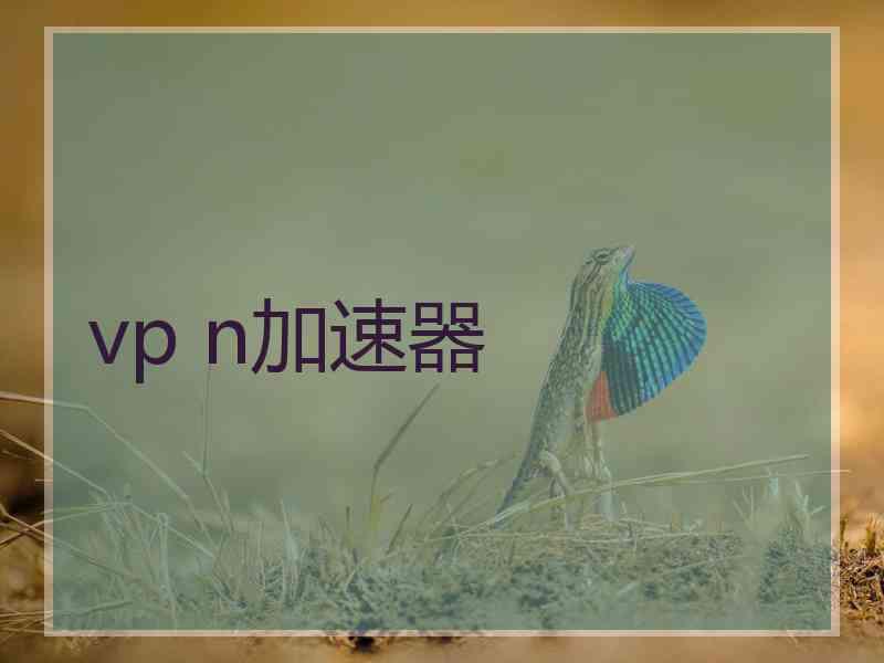 vp n加速器