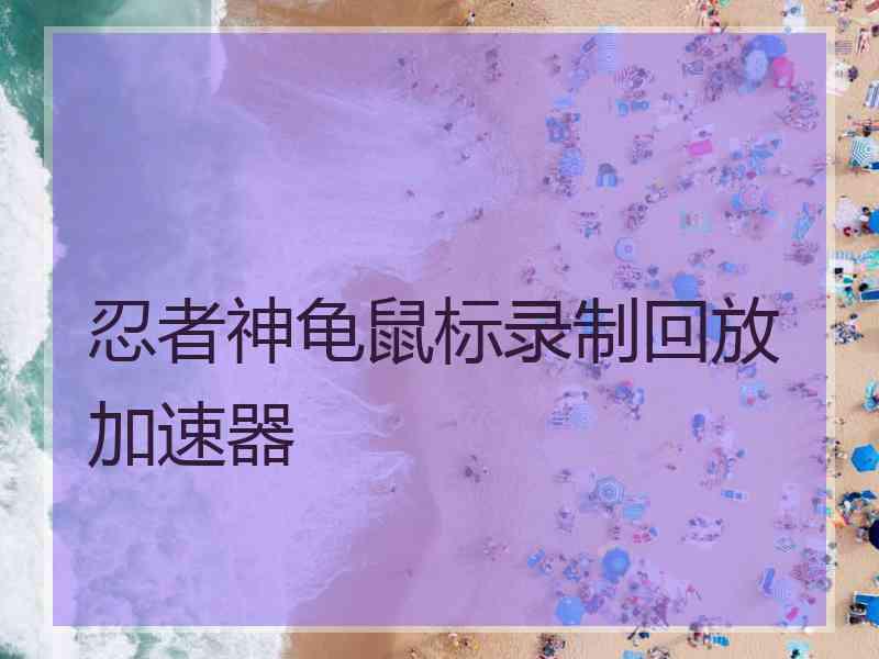 忍者神龟鼠标录制回放加速器