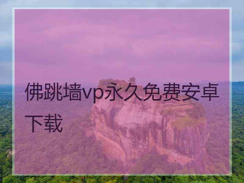 佛跳墙vp永久免费安卓下载