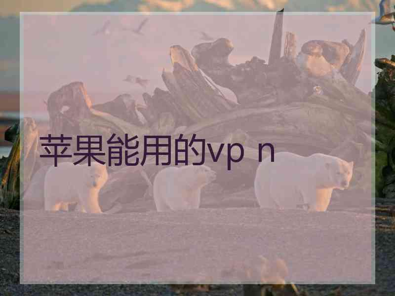 苹果能用的vp n