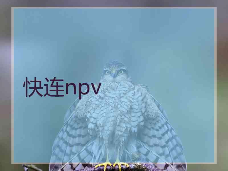 快连npv