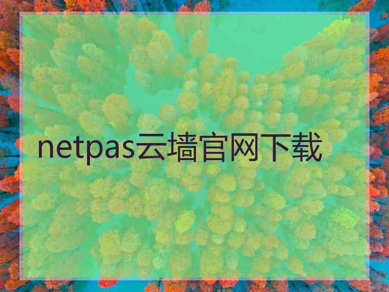 netpas云墙官网下载