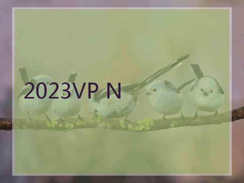 2023VP N