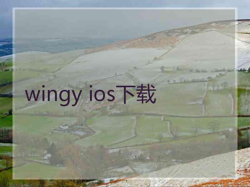 wingy ios下载