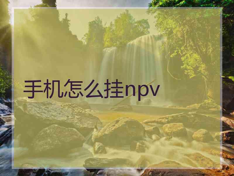 手机怎么挂npv