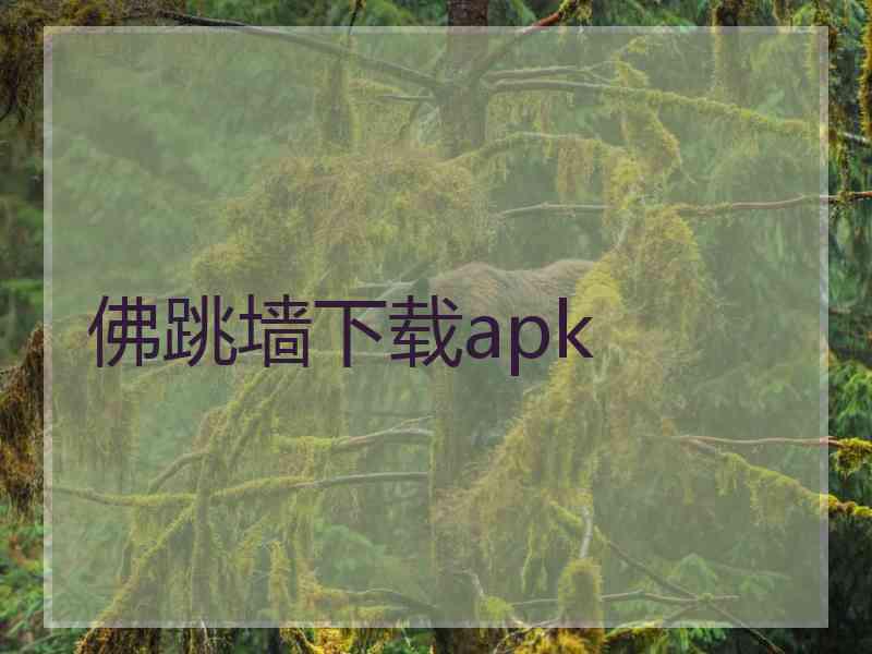 佛跳墙下载apk