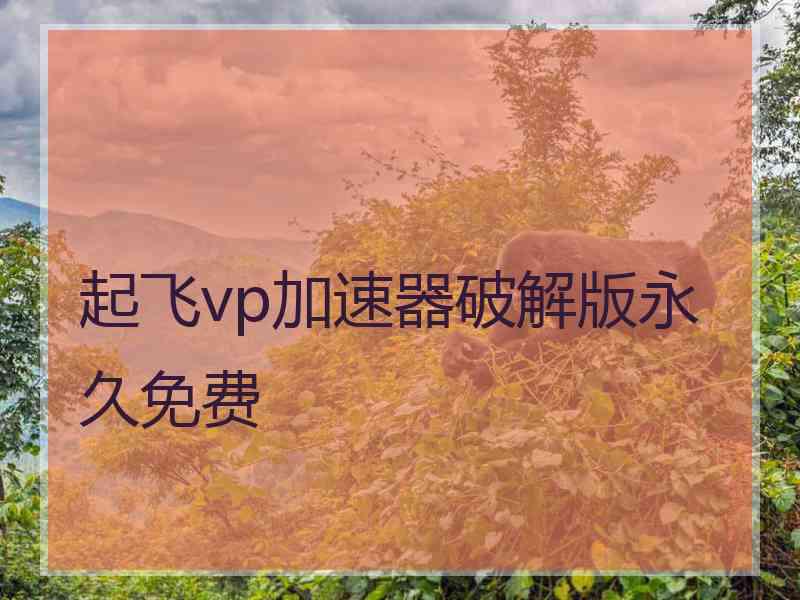 起飞vp加速器破解版永久免费