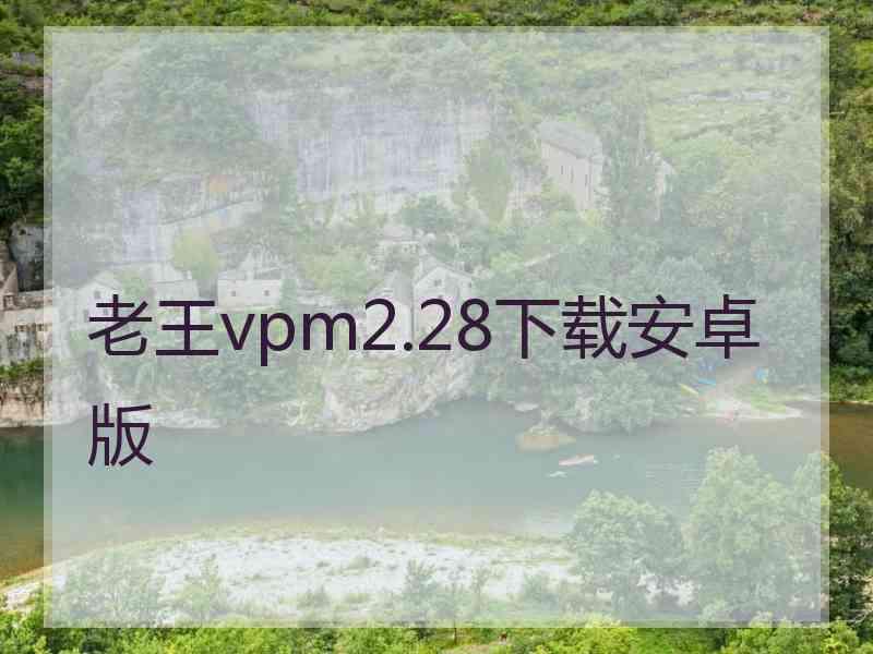 老王vpm2.28下载安卓版