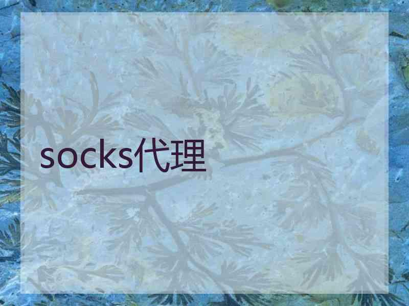 socks代理