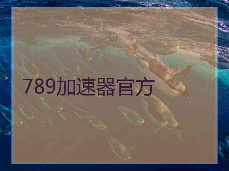 789加速器官方