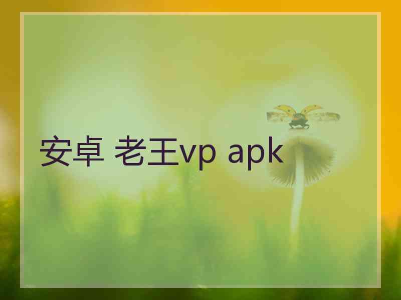 安卓 老王vp apk