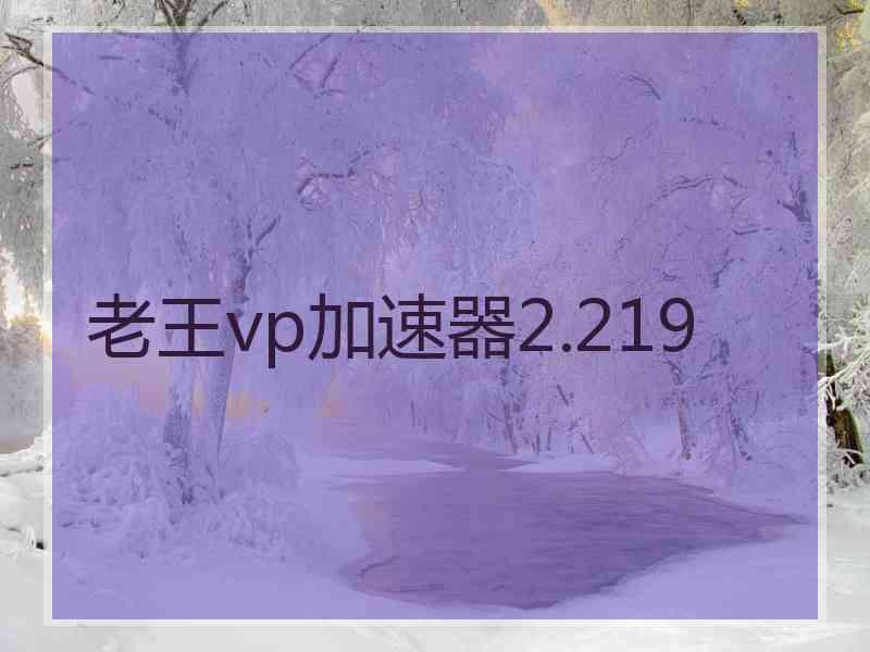 老王vp加速器2.219