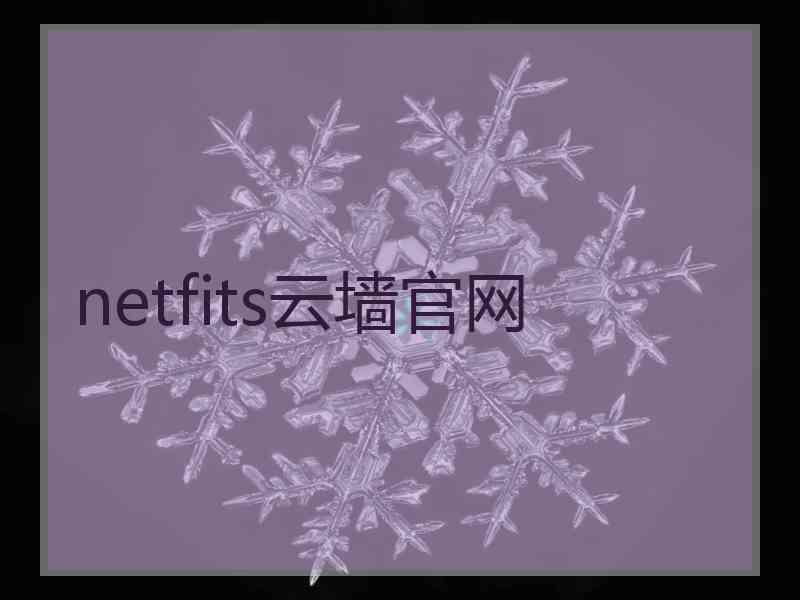 netfits云墙官网