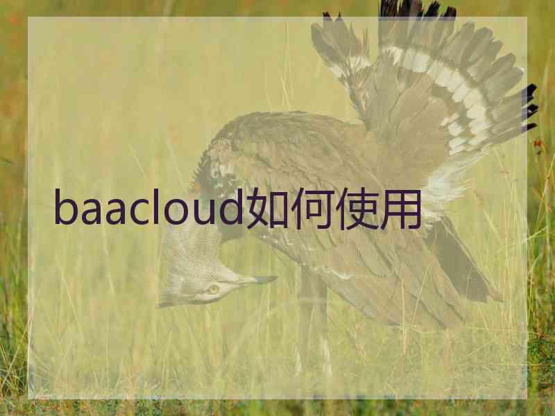 baacloud如何使用