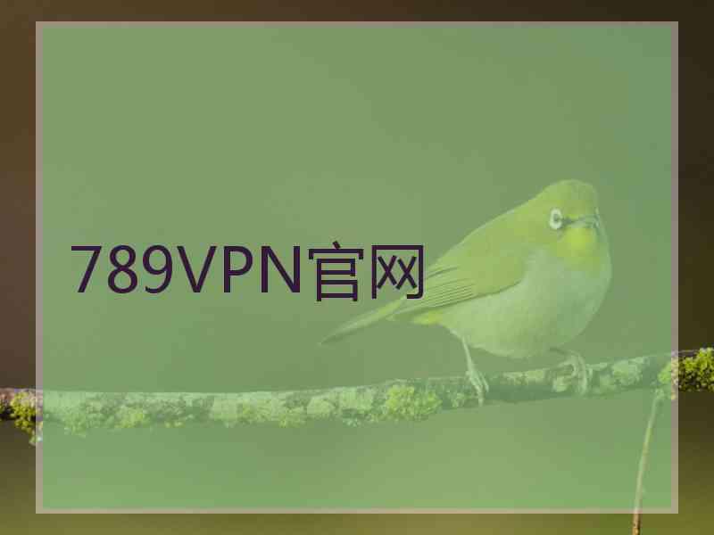 789VPN官网