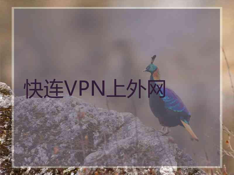 快连VPN上外网