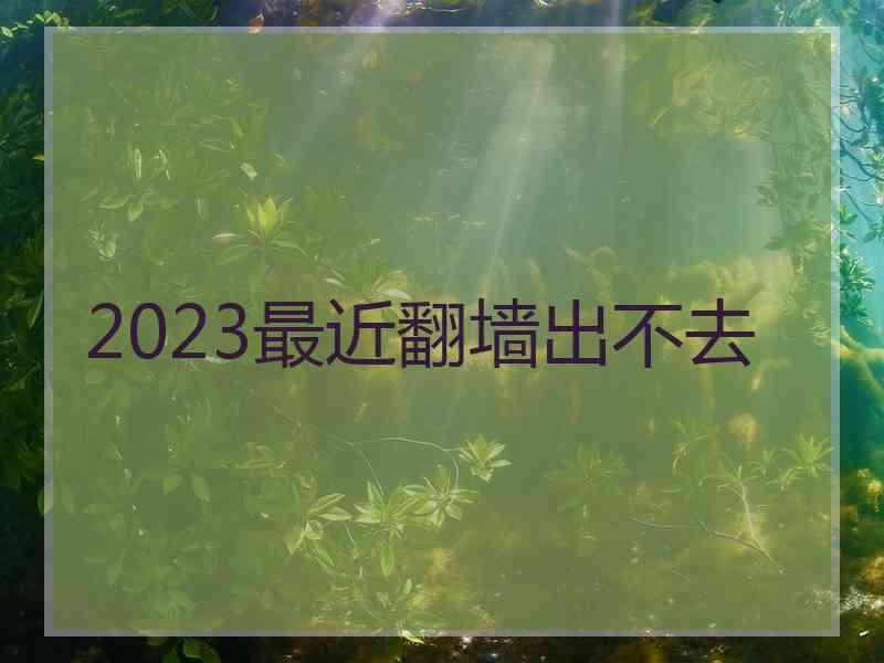 2023最近翻墙出不去