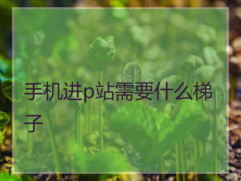 手机进p站需要什么梯子