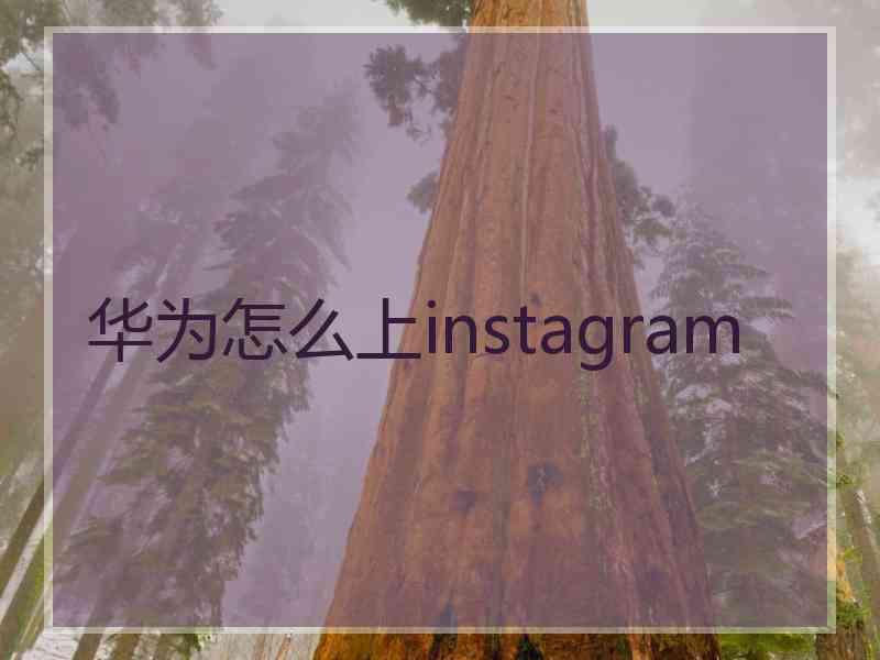 华为怎么上instagram