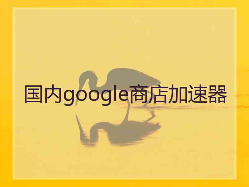 国内google商店加速器