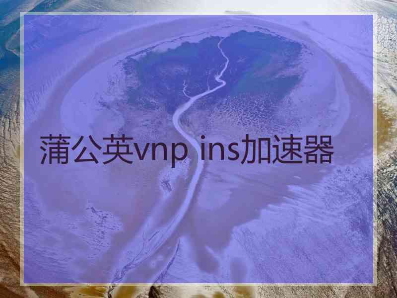 蒲公英vnp ins加速器