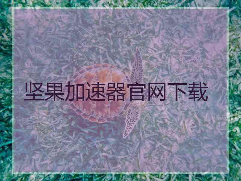 坚果加速器官网下载