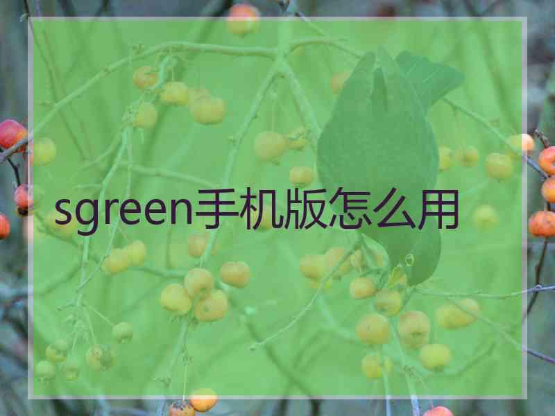 sgreen手机版怎么用