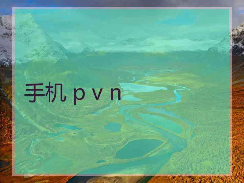 手机 p v n