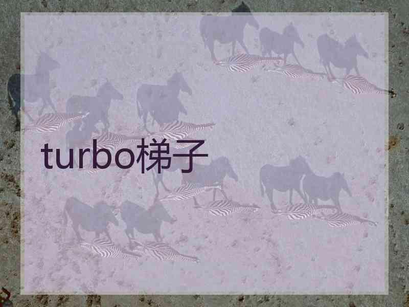 turbo梯子