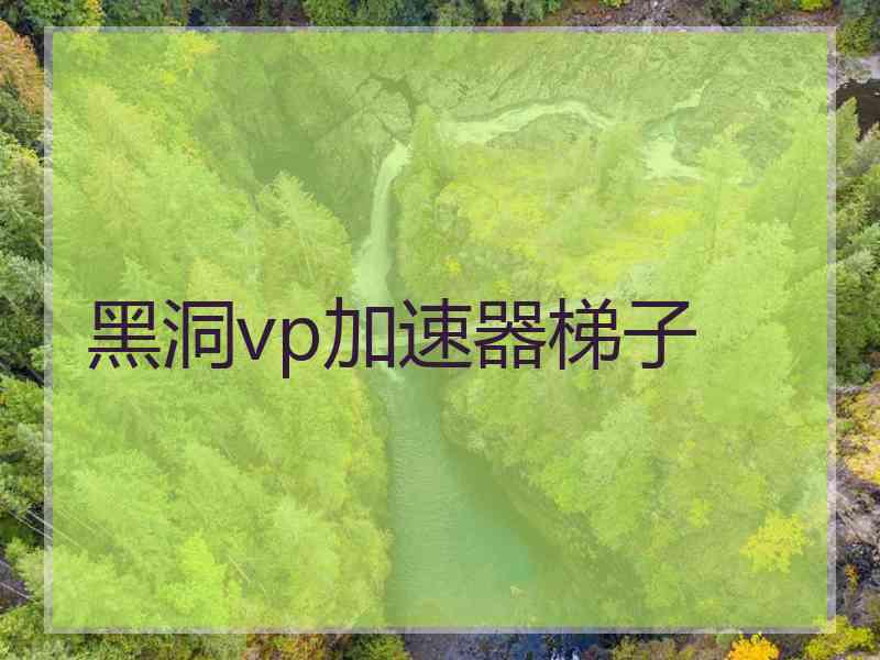 黑洞vp加速器梯子