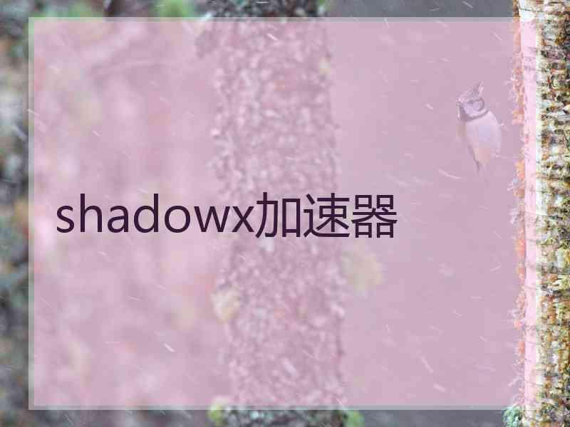 shadowx加速器