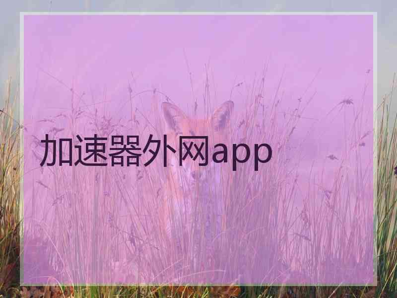 加速器外网app